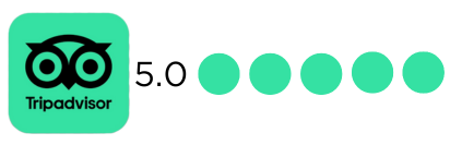 Tripadvisor5.0 rating