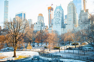 New York Central Park snowy